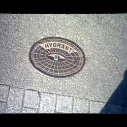 Aus Gechingen von Fritz Roller