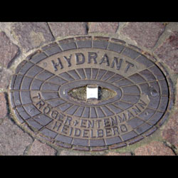 Heidelberg von Burckart